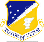 49th Wing Unit Insignia