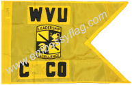 West Virgiinia University ROTC guidon