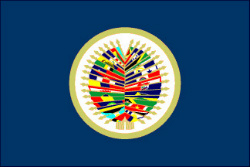 OAS organizational flag