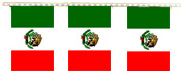 Mexico flag pennant strings