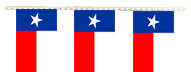 Texas Flag Pennant Strings