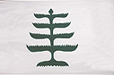 Pine tree flag