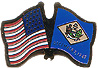 Delaware friendship flag lapel pin