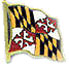 Maryland flag pin