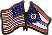 Ohio friendship flag lapel pin