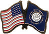 South Dakotra friendship flag lapel pins