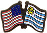 Uruguay / USA frienship flag lapel pin