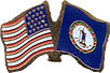 Virgina friendship flag lapel pin